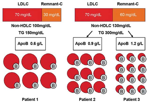 致动脉粥样硬化脂蛋白定量：个性化医学以及 非常低浓度LDL胆固醇时代的当前和未来挑战EAS和EFLM的共识声明（下）-第1张图片-无虑无忧